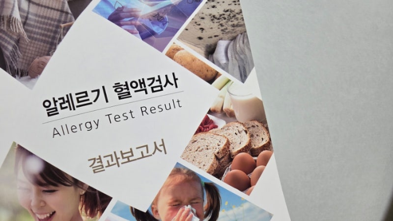 MAST 알레르기 검사｜27개월 아기 알레르기 혈액검사 후기