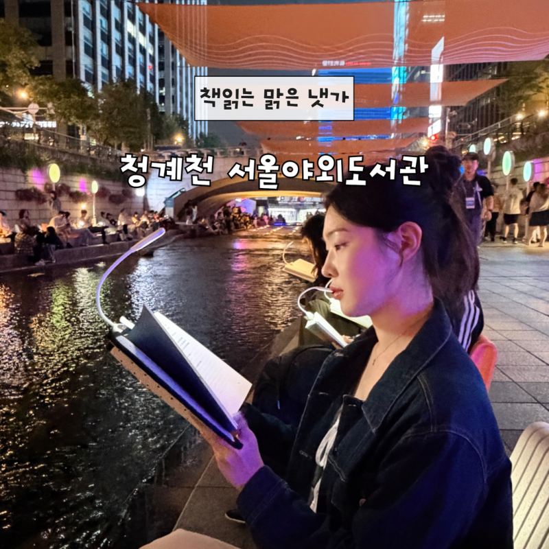 청계천 서울야외도서관 책읽는 맑은 냇가 점심 야경 비교