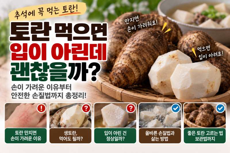 토란 먹으면 입이 아린데 괜찮을까? 손이 가려운 이유와 추석 토란국 손질법