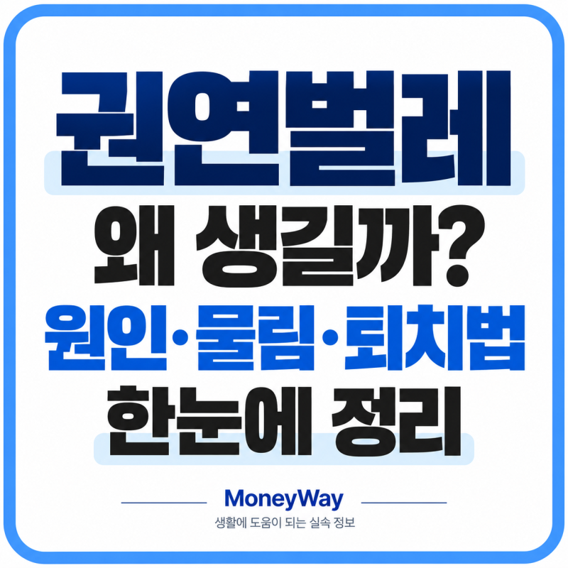 권연벌레 왜 생길까? 원인·물림·물린자국·퇴치법 총정리