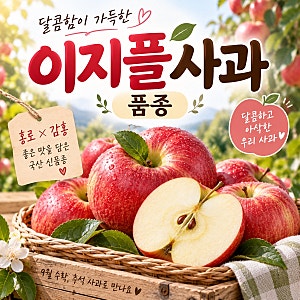 이지플사과 품종, 달콤하고 아삭한 추석 사과 맛과 특징