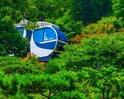 [화담숲 모노레일 완벽 가이드] 예약 꿀팁부터 코스별 가격, 현장 구매 팁까지 총정리!