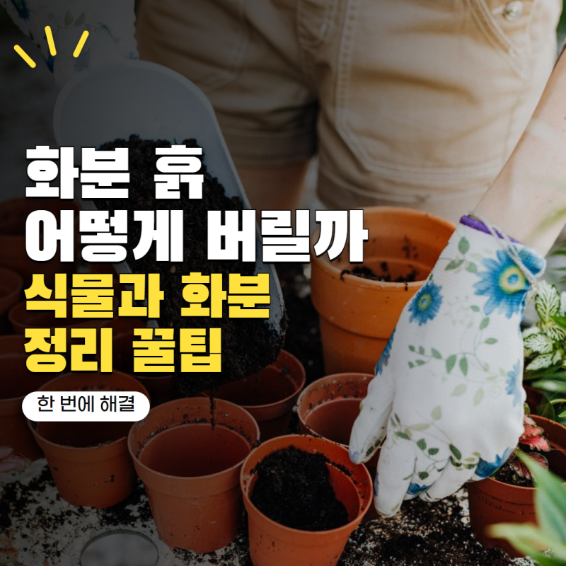 화분 흙 버리는법 어디에 버려야 할까? 식물·화분까지 정리하는 방법