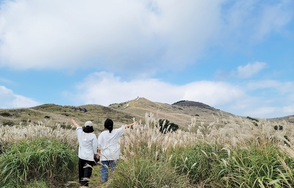 국내 가을여행지 추천 합천 황매산 억새&목수국 주변볼거리 맛집 데이트 일정