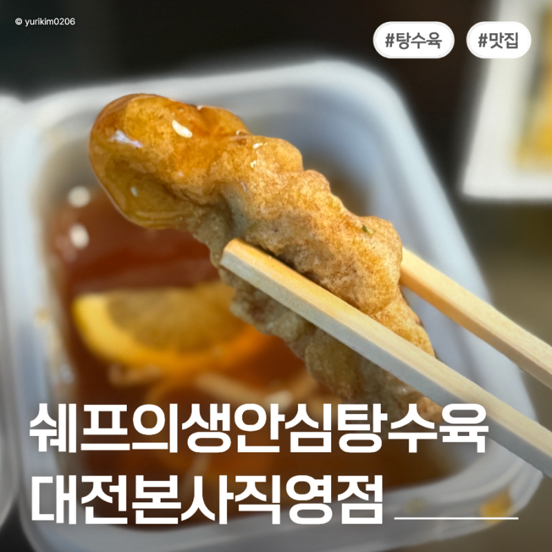 대전자양동맛집 쉐프의생안심탕수육 | 바삭한 탕수육 후기