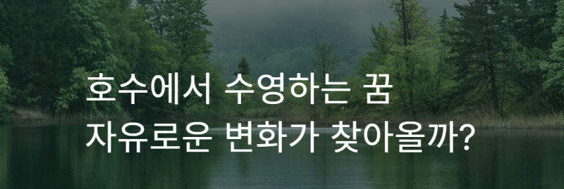 호수에서 수영하는 꿈 자유로운 변화가 찾아올까?