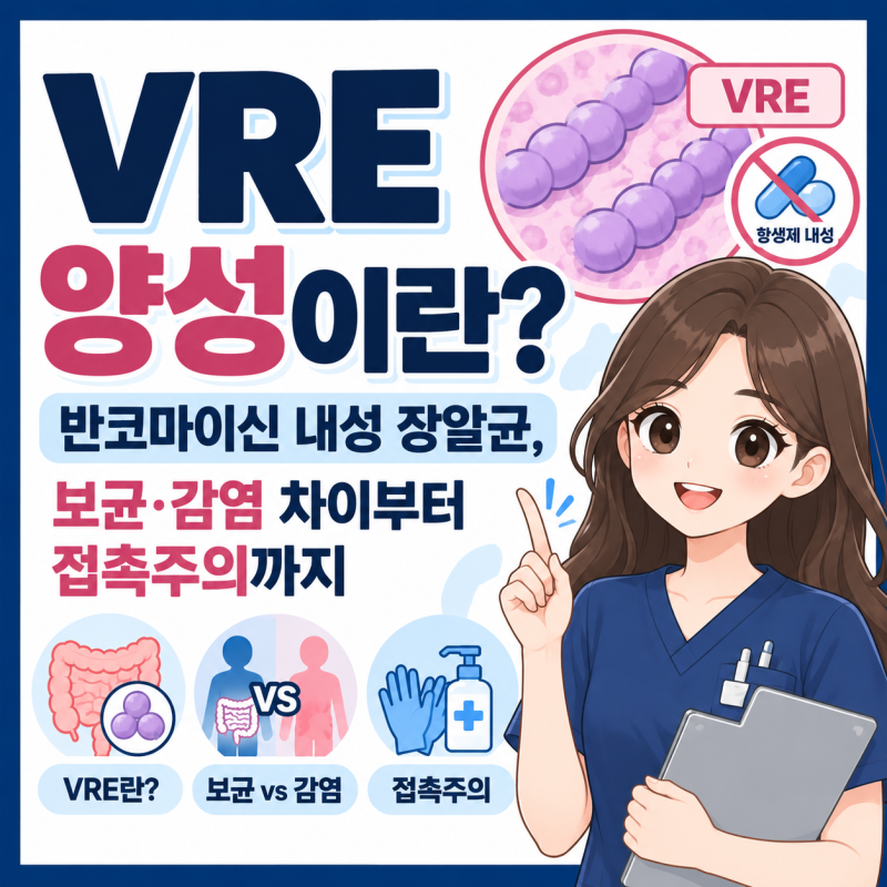 VRE란?반코마이신 내성 장알균, 보균·감염 및 격리까지