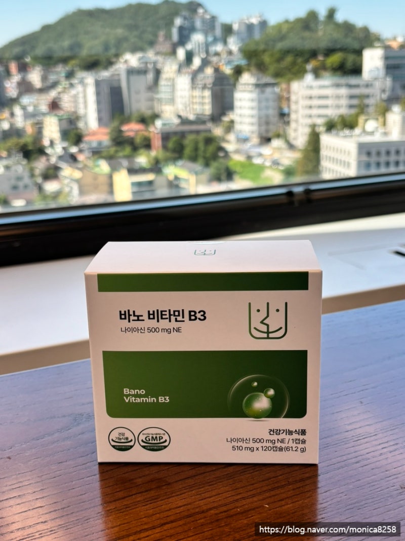 비타민B3 500mg 고용량 나이아신아마이드 영양제 항산화비타민