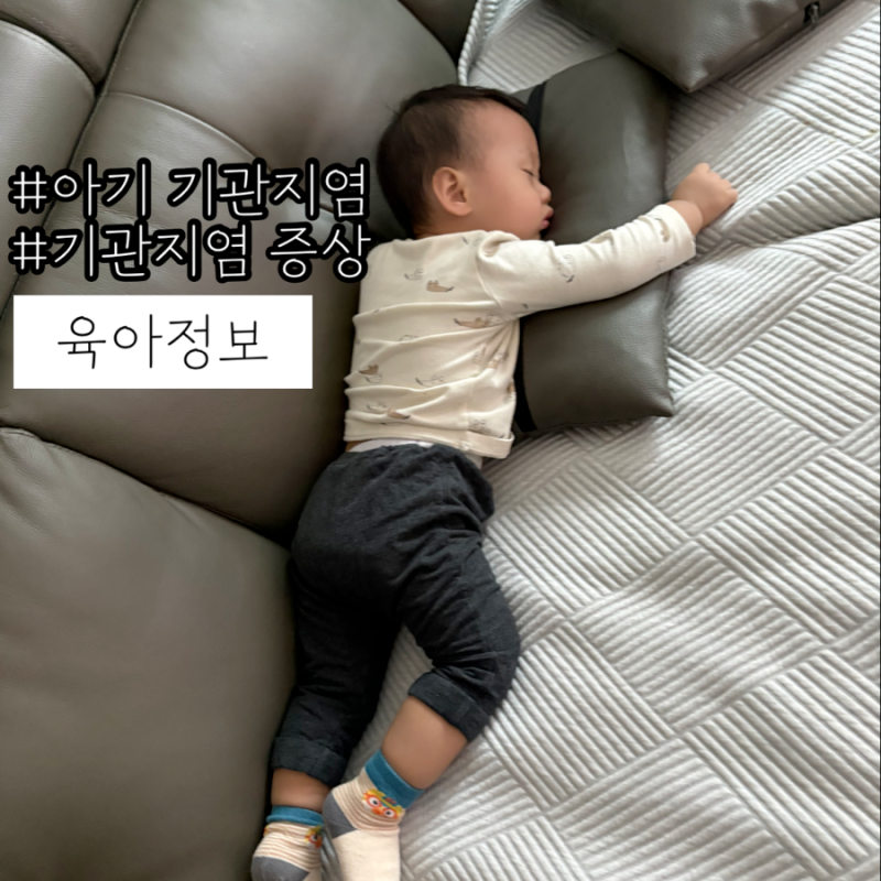 18개월 아기 기관지염, 이렇게 하루만에 나았어요 환절기 겨울 기관지염 원인과 증상
