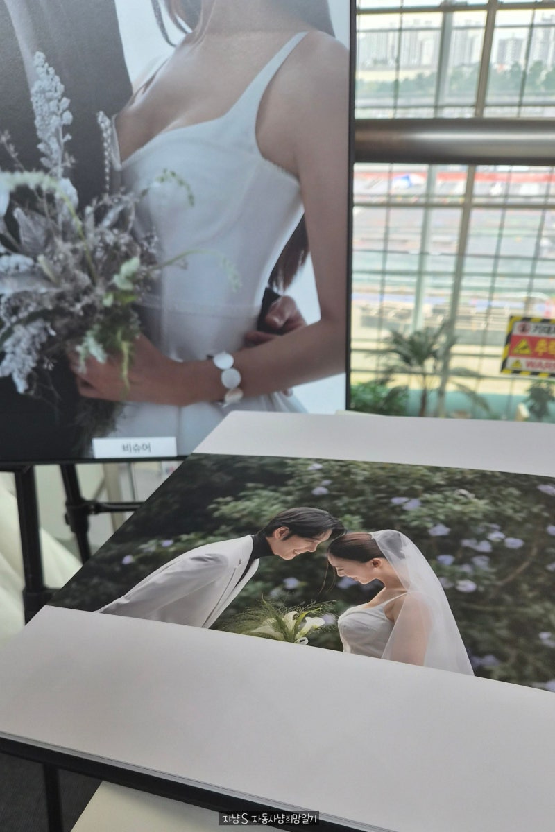 일산 킨텍스 웨딩박람회 방문 후기 _ 결혼 준비 전에 가도 도움이 될까? 결혼 준비 하나도 안....