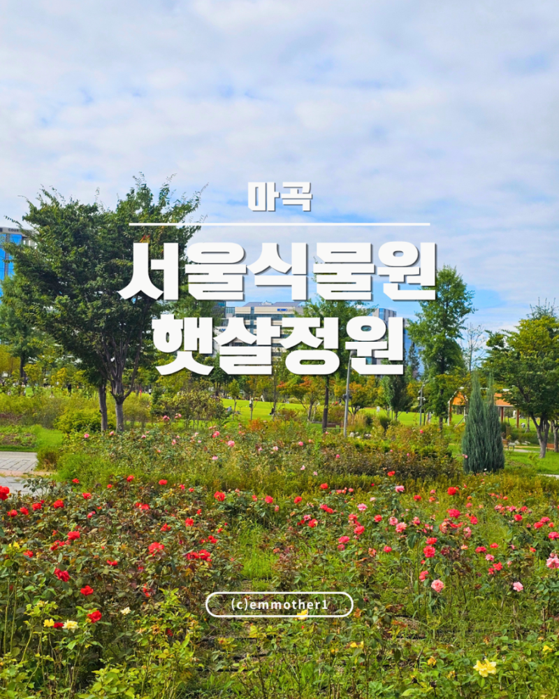 마곡 아이랑 가볼만한곳 서울식물원 햇살정원! 가을 야외에서 뛰어놀기