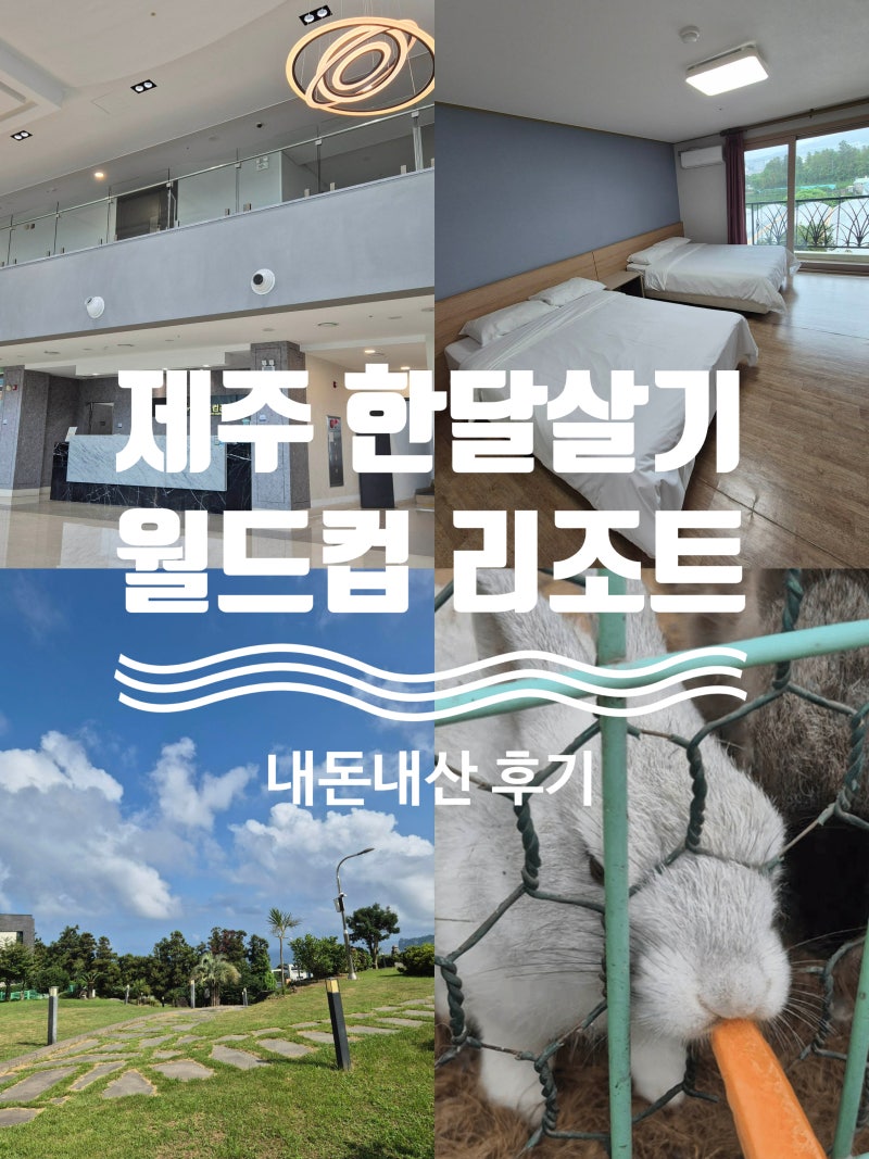 제주도 한달살기 숙소 추천｜서귀포 월드컵 리조트 가성비·조식·오션뷰 솔직후기