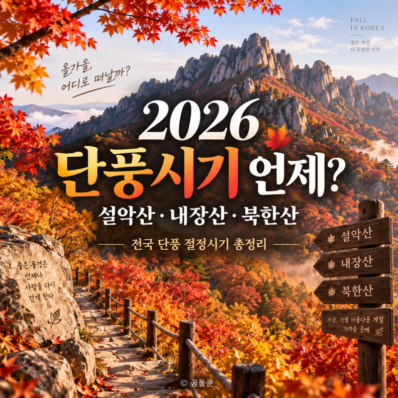 2026 단풍시기 언제일까? 설악산·내장산·북한산 전국 단풍 절정시기 총정리
