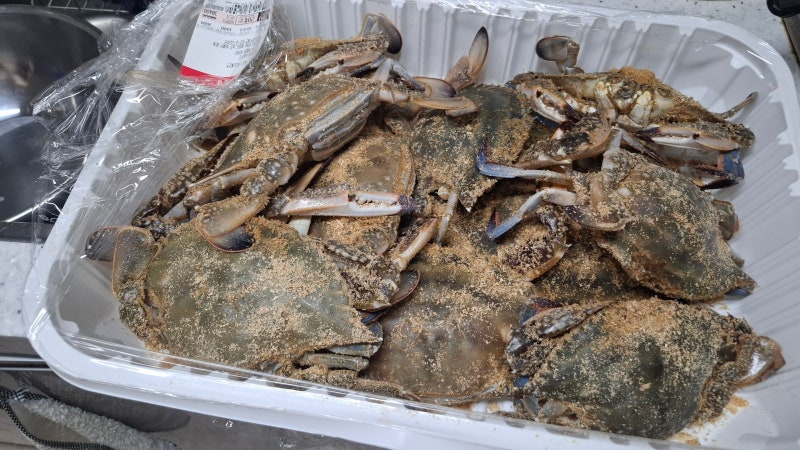 롯데마트 꽃게 3kg 수율 좋았던 꽃게찜 후기