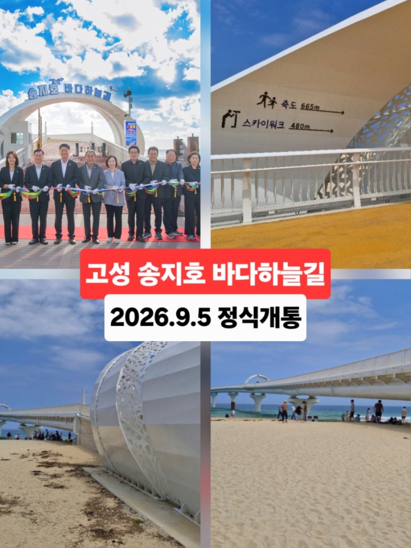 고성 가볼만한곳 송지호 바다하늘길 송지호 해변 해수욕장
