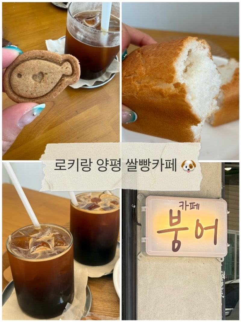 양평 애견동반 카페｜서종 문호리 쌀식빵 맛집 붕어