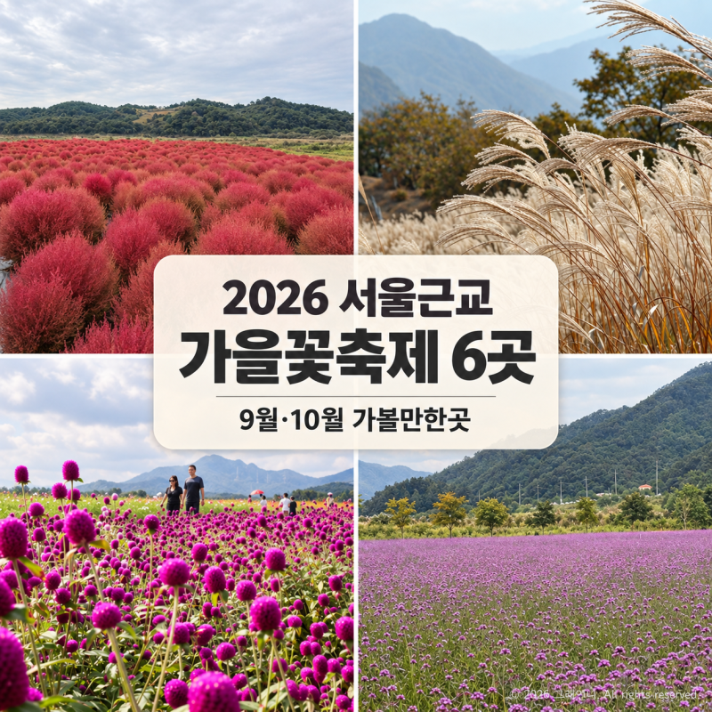 2026 서울근교 가을꽃축제 6곳｜9월 10월 가볼만한곳