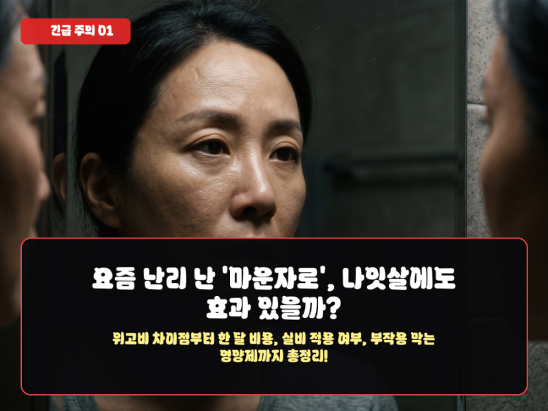 마운자로 처방 비용과 실비 적용 여부 총정리! 위고비 가격 비교 및 부작용 줄이는 영양제 꿀....