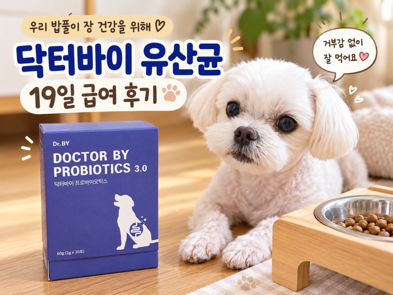강아지 유산균 닥터바이 프로바이오틱스 3.0｜19일 먹여보니? 내돈내산 후기