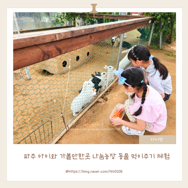파주 아이와 가볼만한곳 나눔농장 동물 먹이주기 체험
