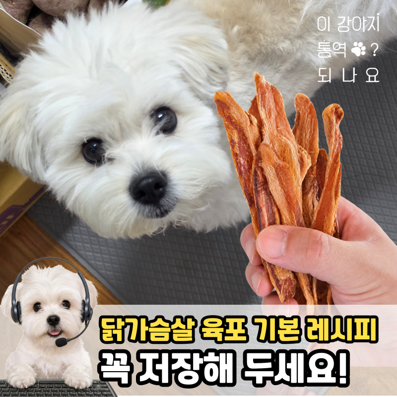 애견수제간식 닭가슴살 육포 만드는 법, 기본 레시피 저장해 두세요!