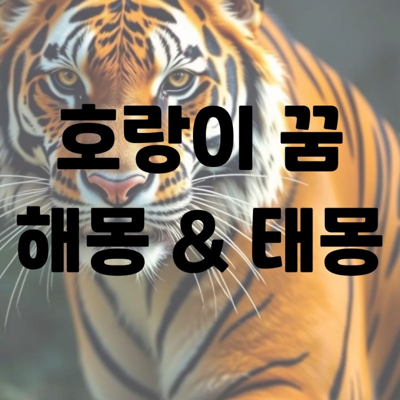 호랑이 꿈 해몽 태몽 | 호랑이가 나오는 꿈 상황별 풀이