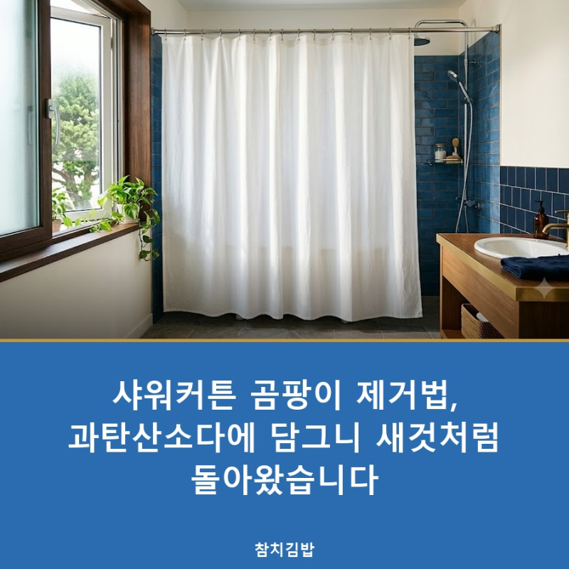 샤워커튼 곰팡이 제거법, 과탄산소다에 담그니 새것처럼 돌아왔습니다
