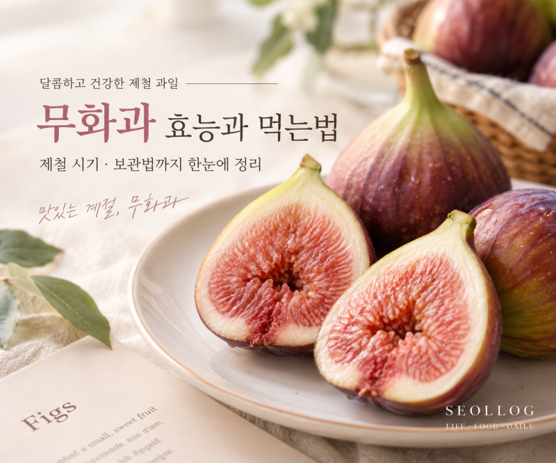 무화과 효능과 먹는법｜제철 시기·보관법까지 한눈에 정리