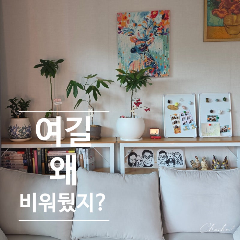 틈새선반, 버리던 거실 소파 뒤 공간 이렇게 활용했어요