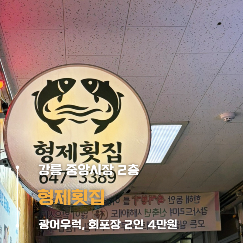 강릉 형제횟집 l 현지인맛집 l 중앙시장 횟집 l 회포장 후기