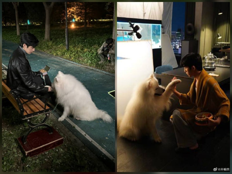《조춘청랑》 보고 끝인 줄 알았는데… 정백연 과거작까지 다시 뜨기 시작