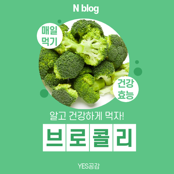 매일 먹는 브로콜리 효능 데치는법 건강하게 먹는법 부작용 하루 섭취량