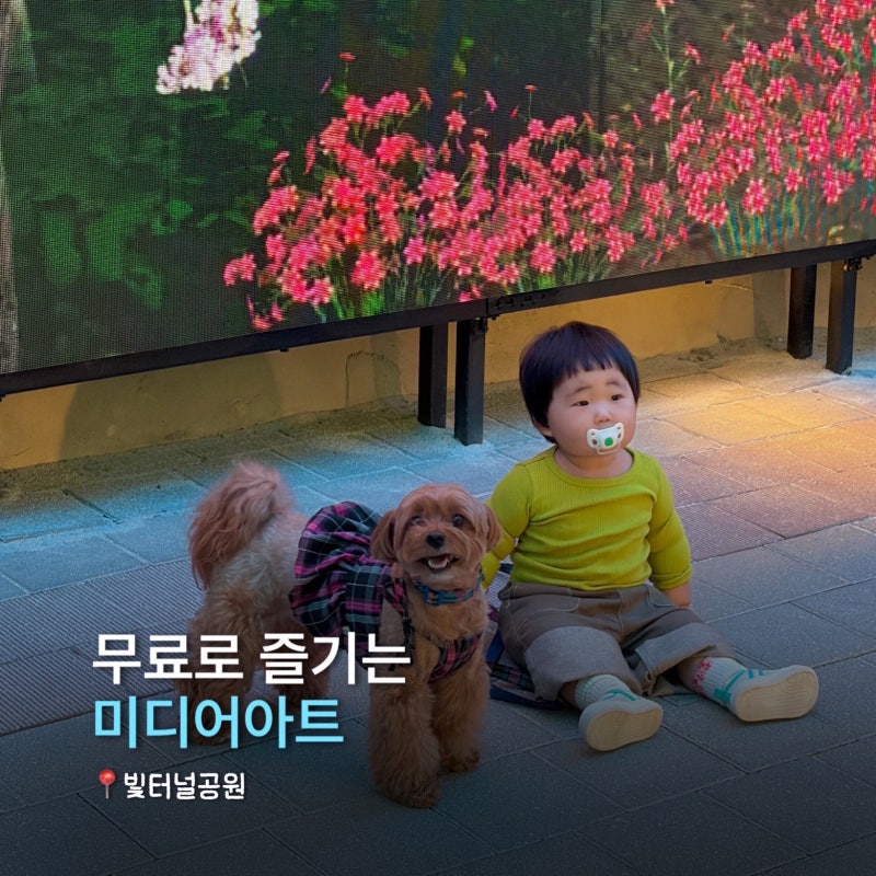 남양주 강아지랑 가볼만한 곳 무료로 즐기는 빛터널공원