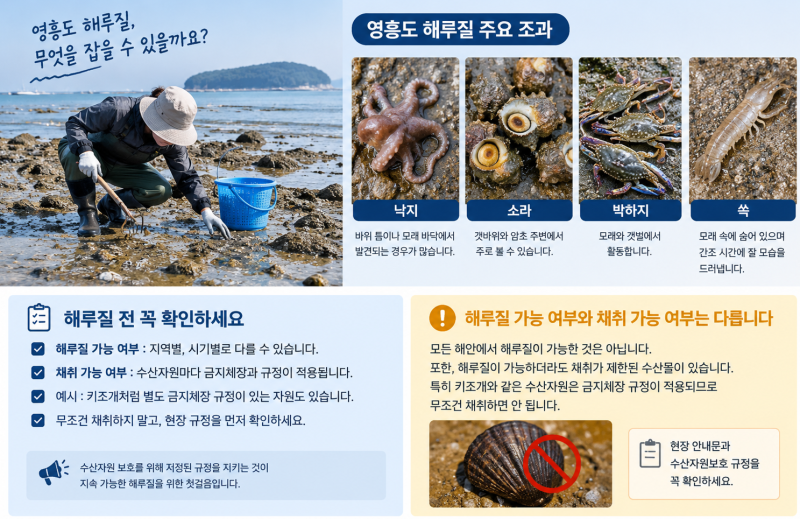 영흥도 레인보우 캠핑장 해루질과 낚시 즐기는 방법