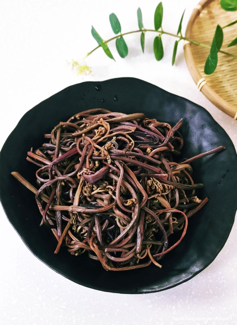 말린 고사리 삶는법 건고사리 불리기 쓴맛 독성 없이 부드럽게 삶기