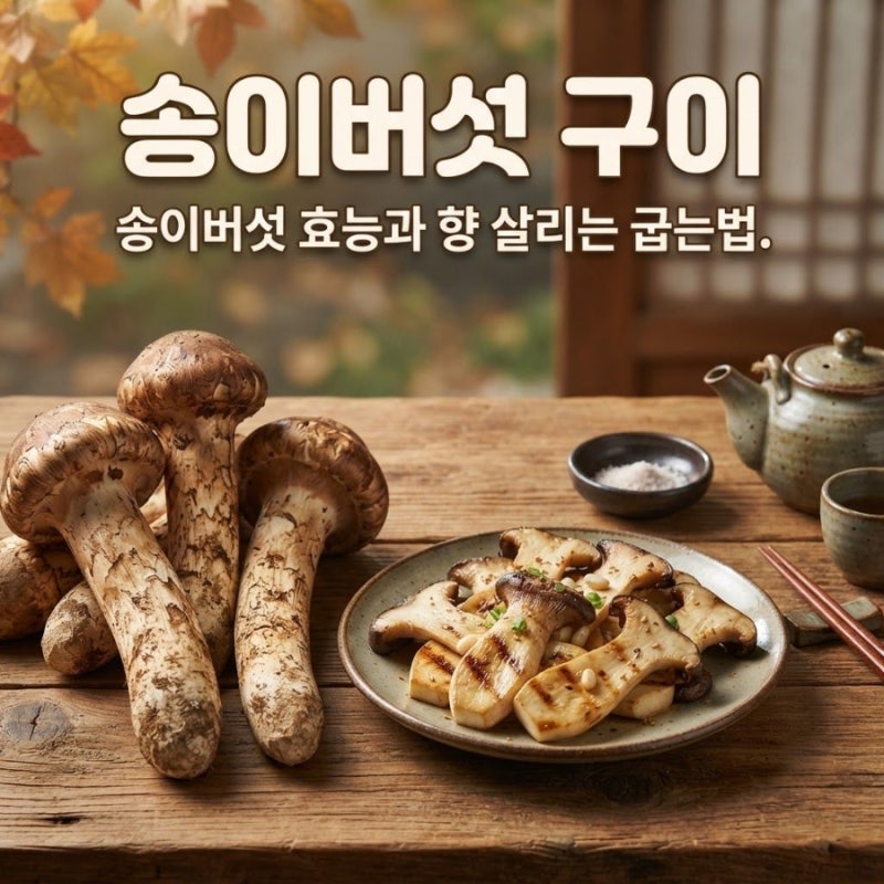 송이버섯 구이 어떻게 할까? 송이버섯 효능과 향 살리는 굽는법