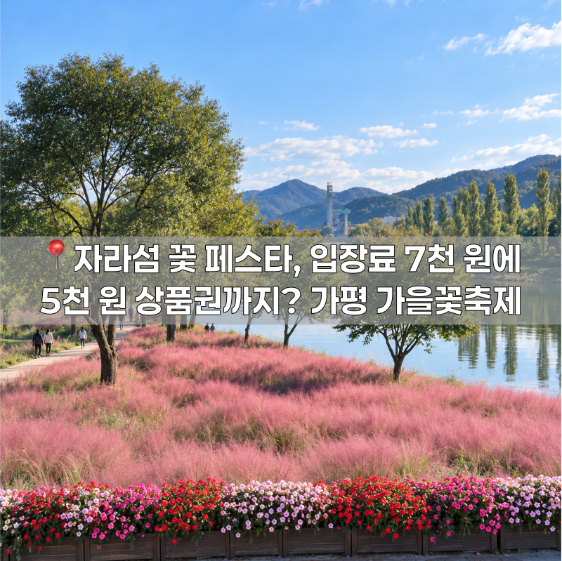 2026 자라섬 꽃 페스타, 입장료 7천 원에 5천 원 상품권까지? 가평 가을꽃축제