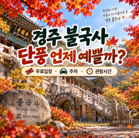 경주 불국사 단풍 언제 예쁠까? 무료입장·주차·관람시간 총정리