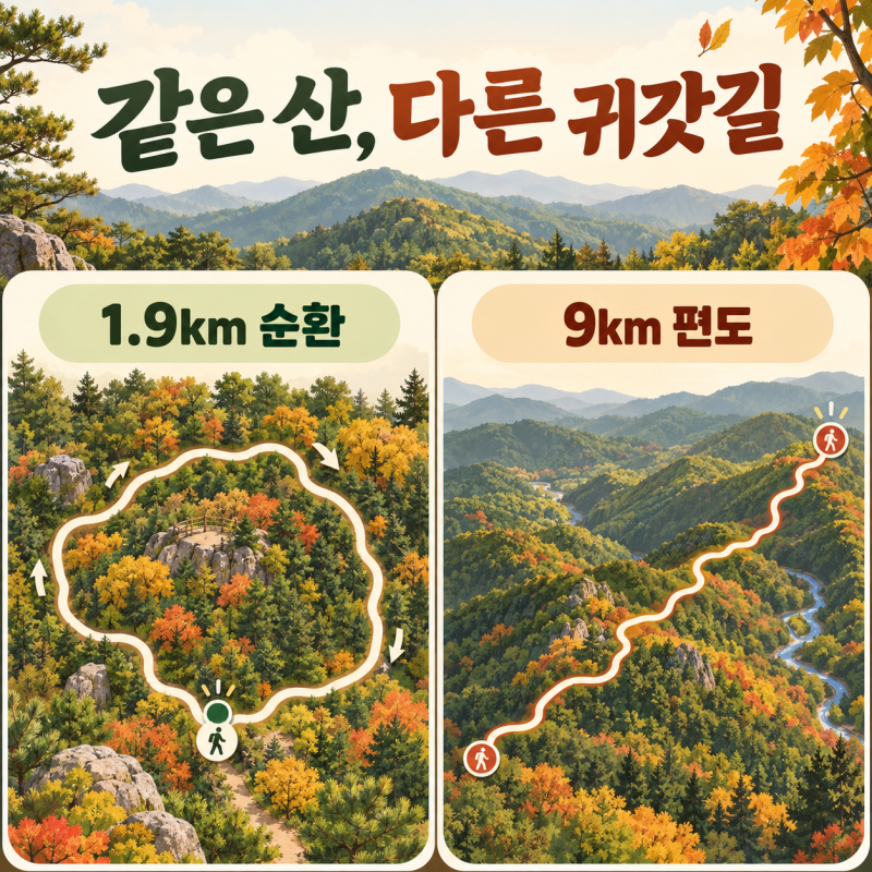 같은 오대산도 1.9km와 편도 9km…초보 등산 코스 12곳은 ‘돌아올 길’이 달랐습니다