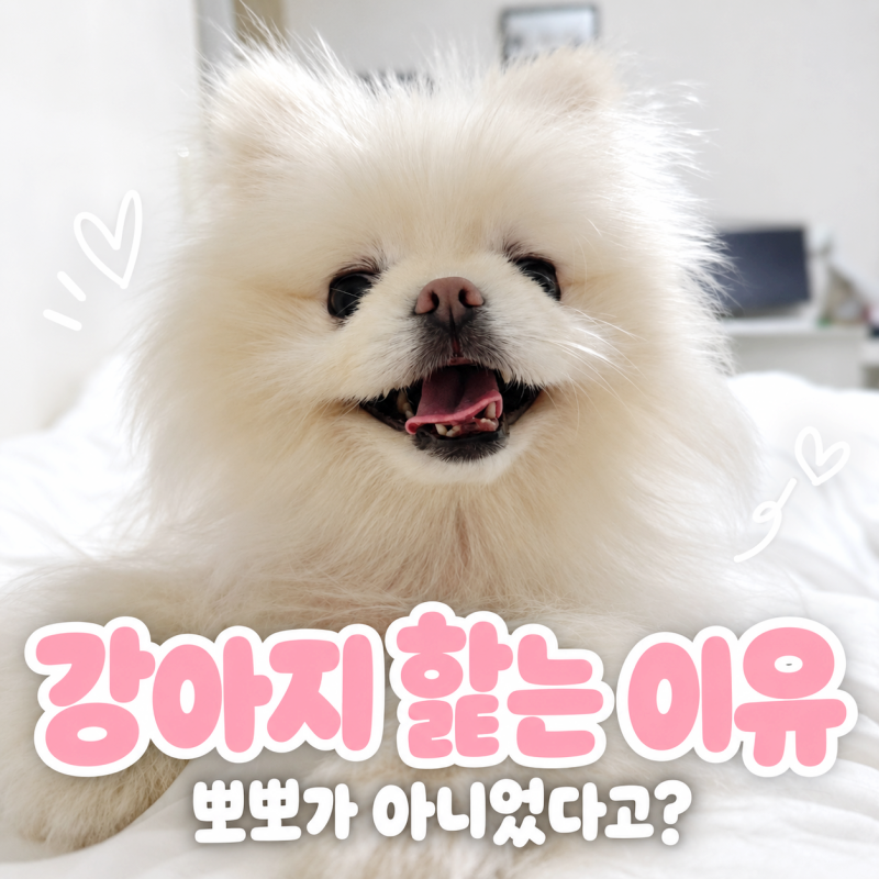 강아지가 얼굴과 입을 핥는 이유, 애교인 줄 알았는데 불안 신호라고?