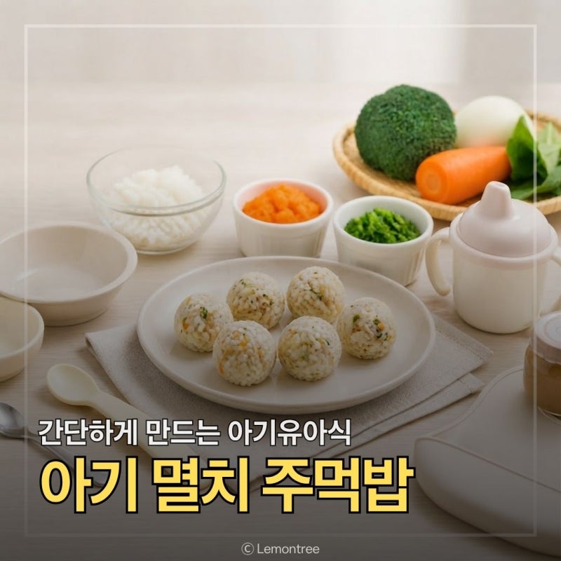 간단 유아식 아기멸치주먹밥 월령별로 준비하기
