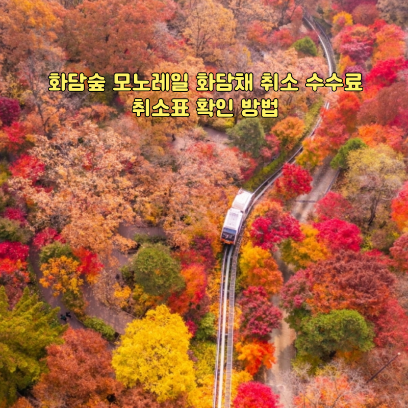 화담숲 모노레일 화담채 취소 수수료 금액 100% 환불 시점, 취소표 확인 방법