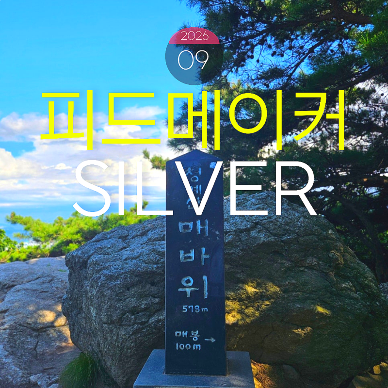 지난달 브론즈, 이번 달 실버.. 꾸준함이 건네준 네이버의 작은 선물(ft. 피드메이커 어워즈)