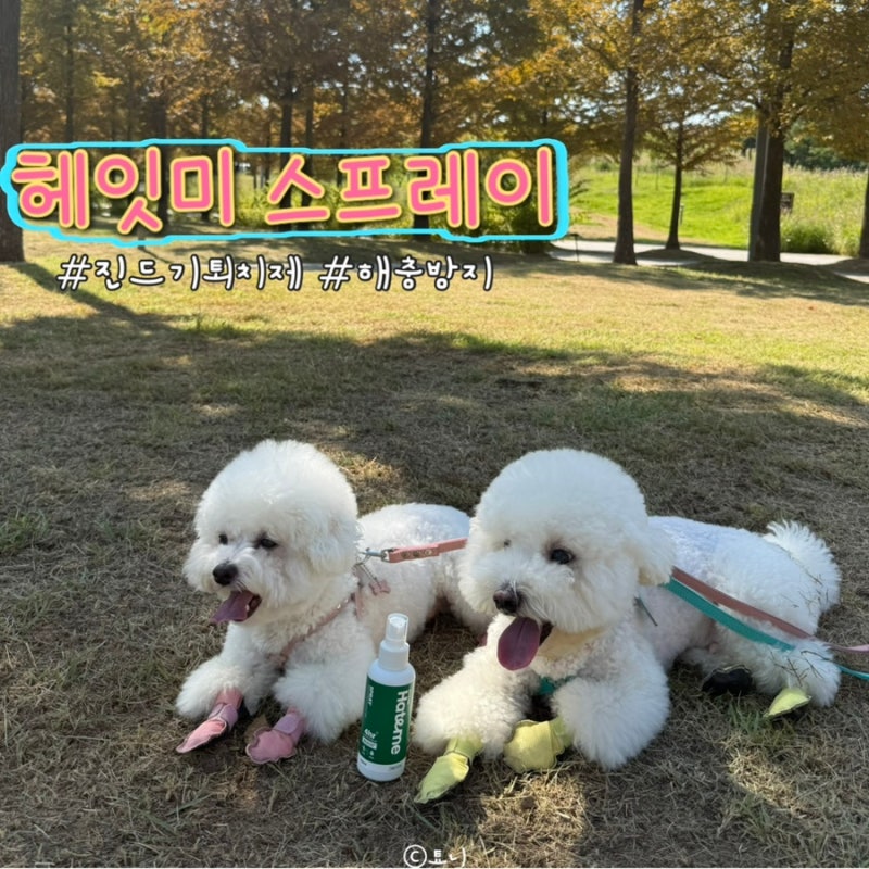 강아지진드기퇴치제ㅣ헤잇미 스프레이 후기
