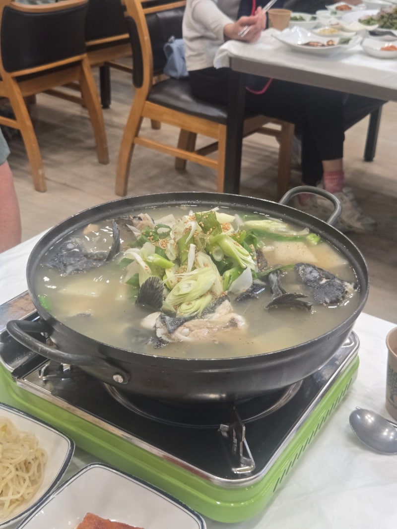 보성 율포해수욕장 맛집 갯마을횟집 우럭지리탕 내돈내산 후기｜해수녹차센터 근처 추천