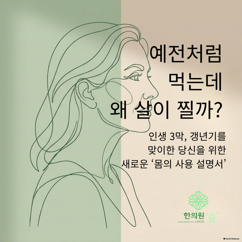 갱년기 예전처럼 먹는데 왜 살이 찔까