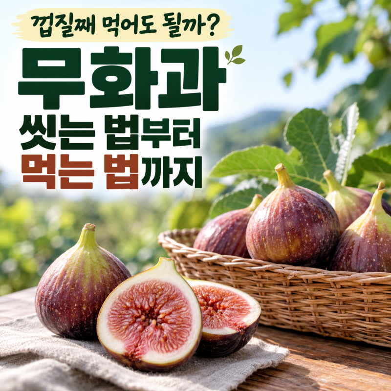 제철 무화과 이렇게 드세요! 껍질째 먹는 법과 보관법