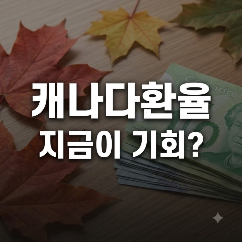"한 달 전보다 50원 뚝".. 캐나다환율 지금 당장 바꿔야 할까?