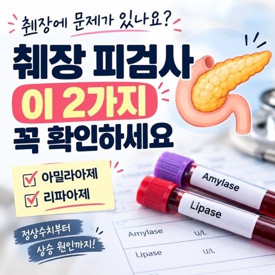 췌장염이 걱정된다면? 혈액검사에서 확인하는 췌장 수치