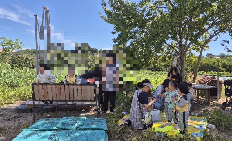 어린이집 고구마 캐기 체험! 꼬마 농부들의 신나는 흙놀이 밭 나들이